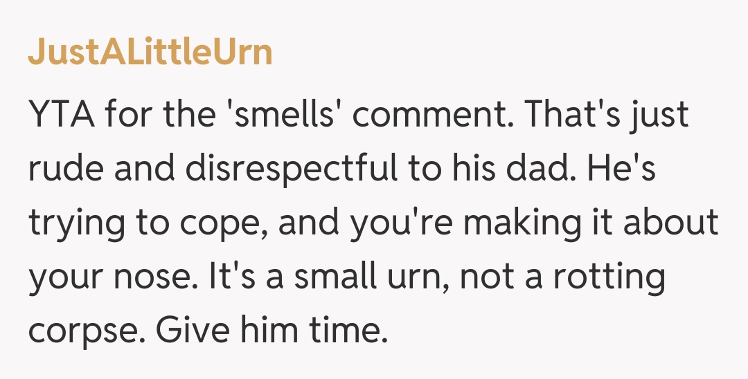 Comentariu de la JustALittleUrn