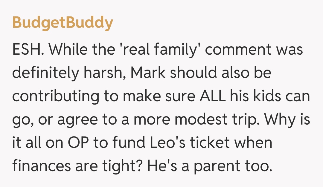 Comentariu de la BudgetBuddy