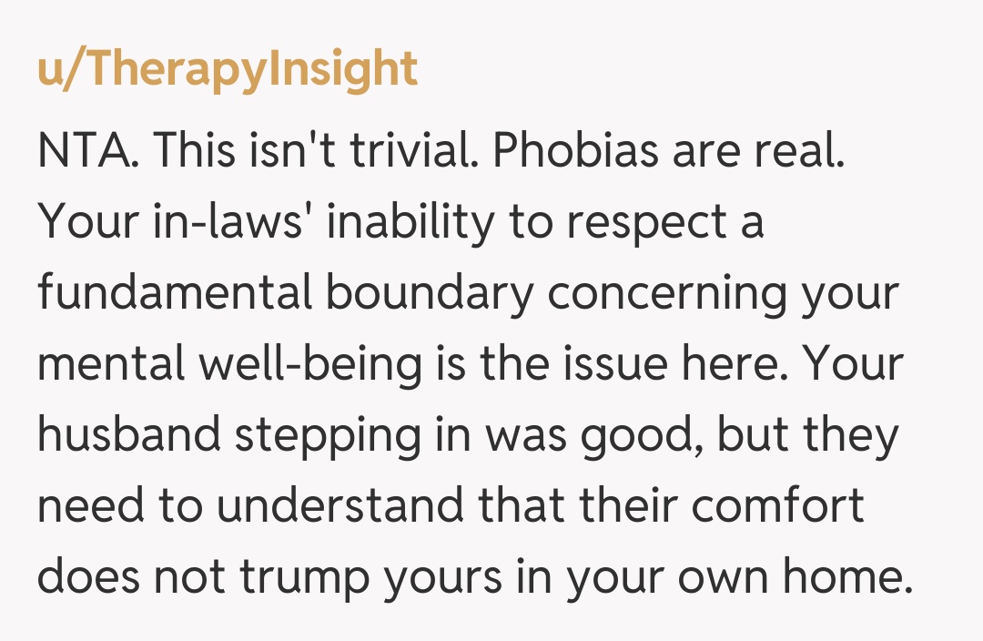 Comentariu de la u/TherapyInsight