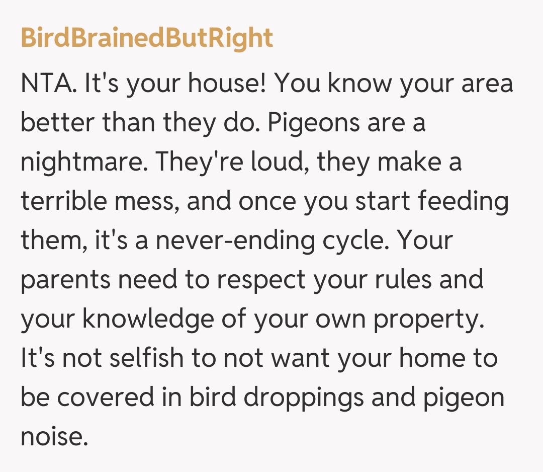 Comentariu de la BirdBrainedButRight
