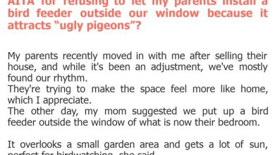 Photo of AITA for refusing to let my parents install a bird feeder outside our window because it attracts “ugly pigeons”?