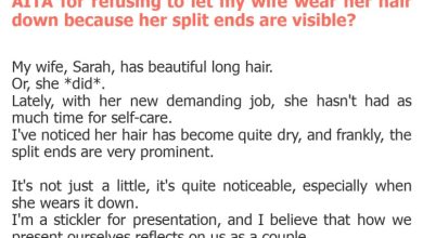 Photo of AITA for refusing to let my wife wear her hair down because her split ends are visible?