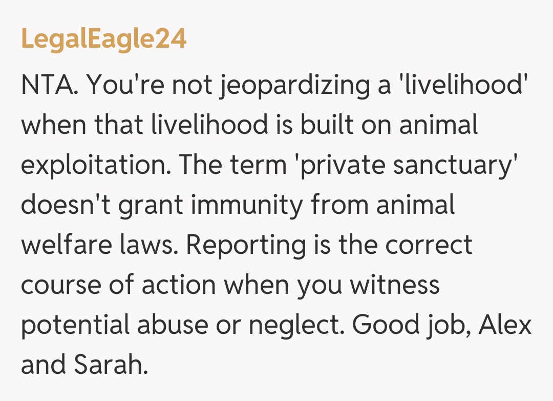 Comentariu de la LegalEagle24