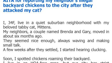 Photo of AITA for reporting my neighbor’s illegal backyard chickens to the city after they attacked my cat?