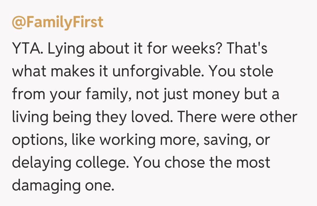 Comentariu de la @FamilyFirst