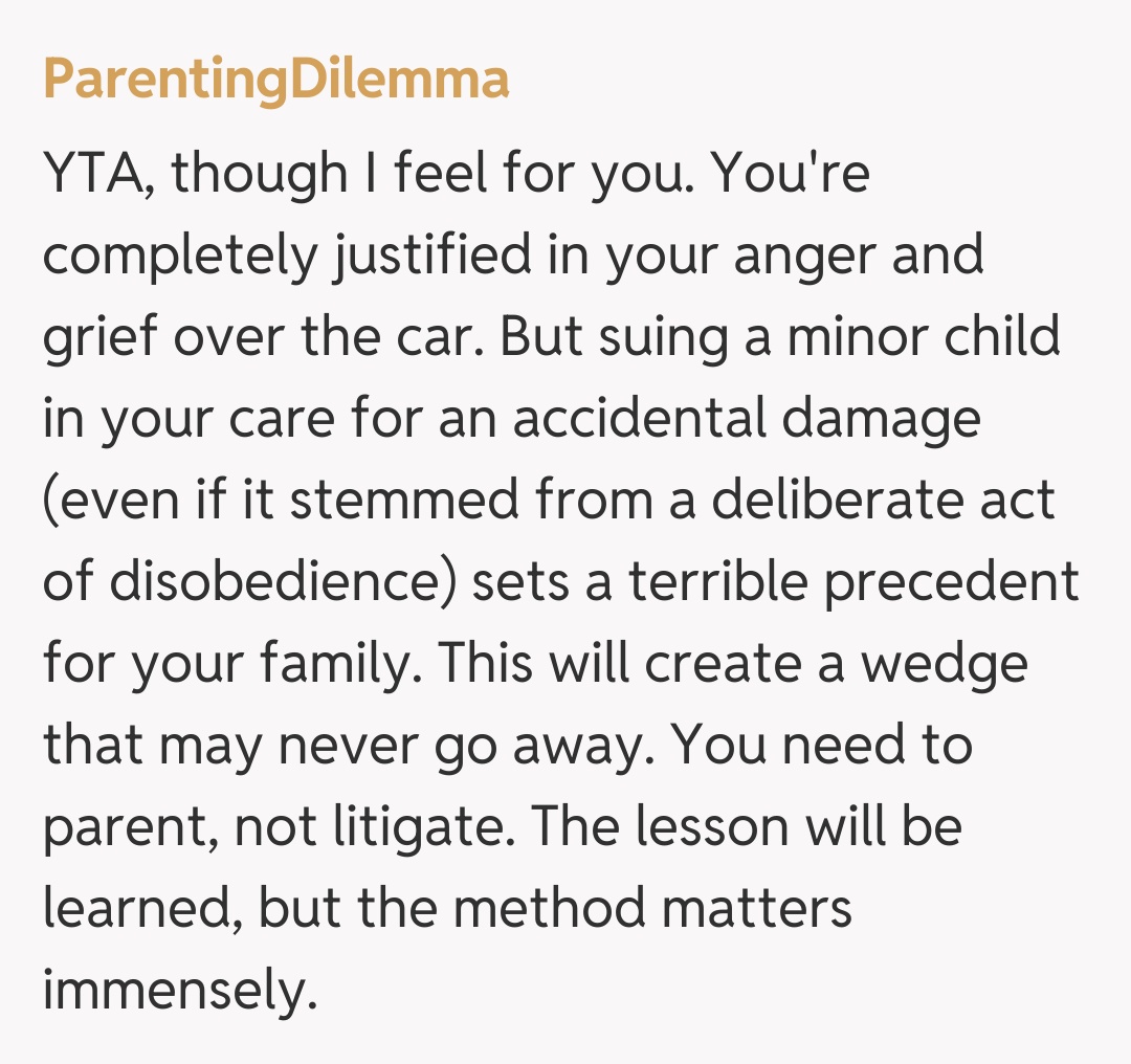 Comentariu de la ParentingDilemma