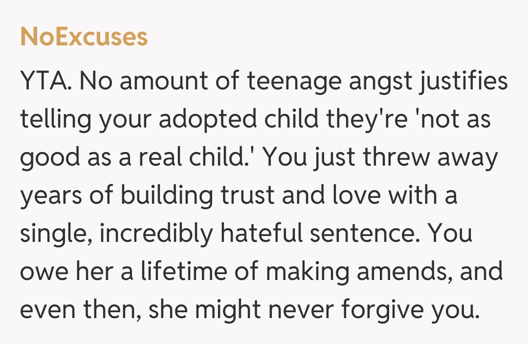 Comentariu de la NoExcuses