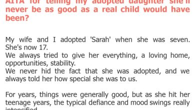 Photo of AITA for telling my adopted daughter she’ll never be as good as a real child would have been?