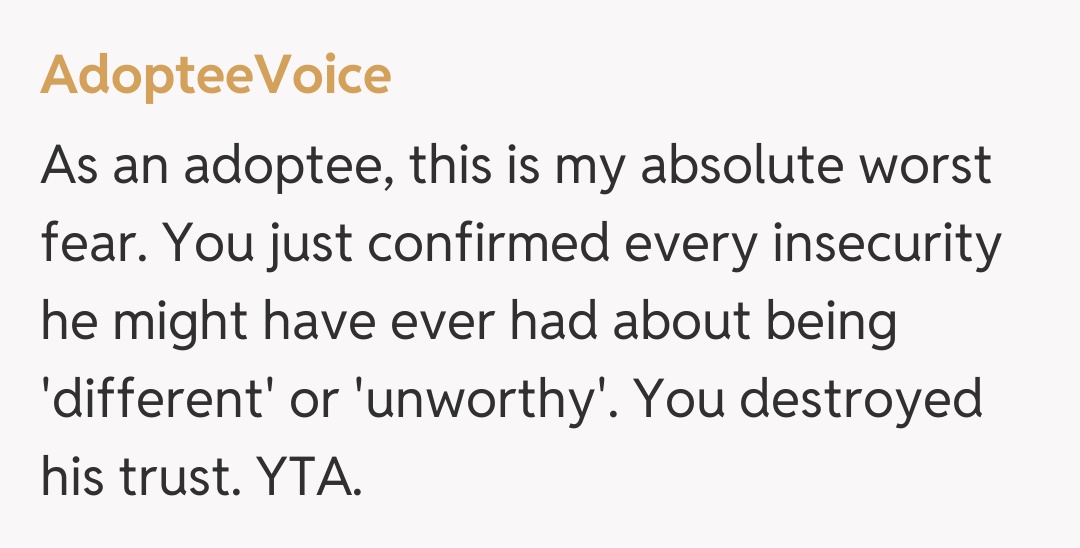 Comentariu de la AdopteeVoice