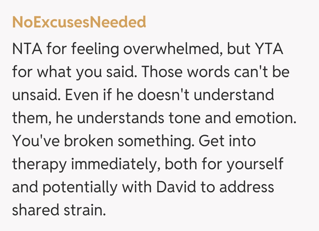 Comentariu de la NoExcusesNeeded