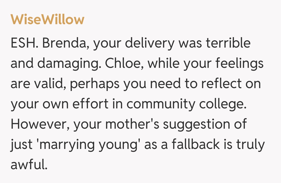 Comentariu de la WiseWillow