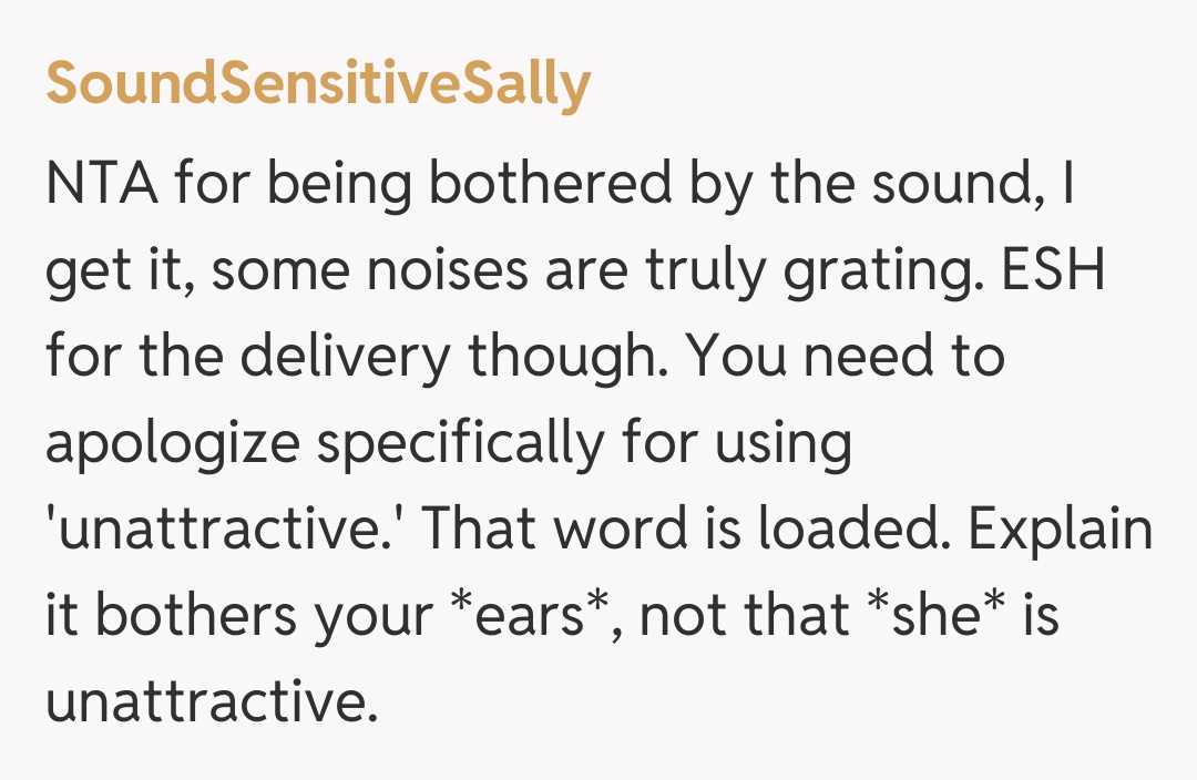 Comentariu de la SoundSensitiveSally