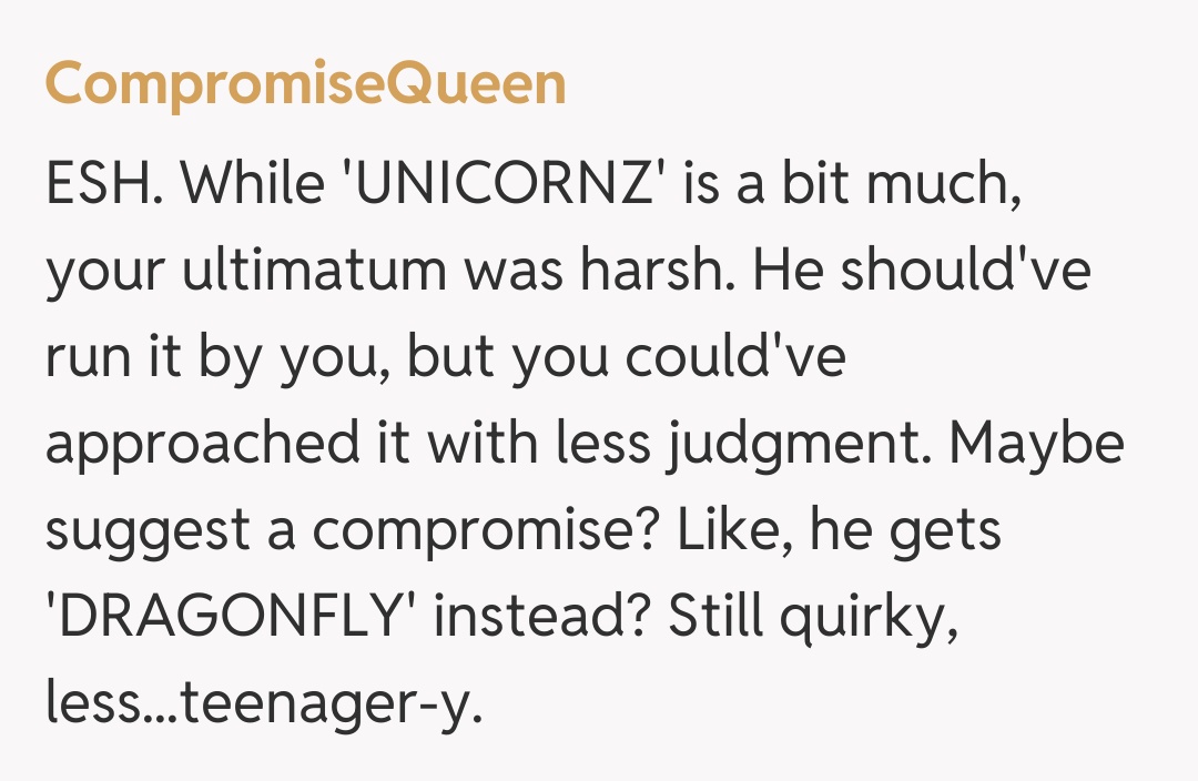 Comentariu de la CompromiseQueen