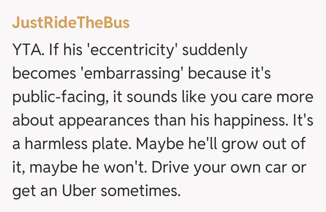 Comentariu de la JustRideTheBus