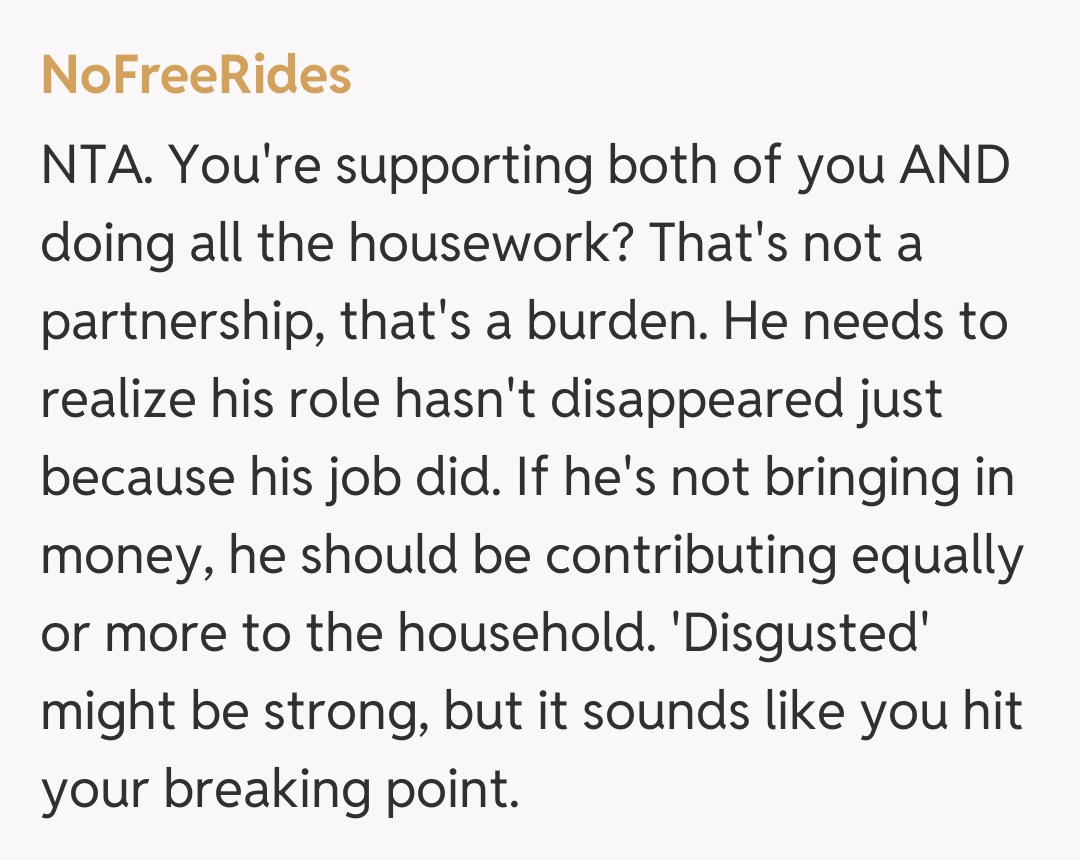 Comentariu de la NoFreeRides