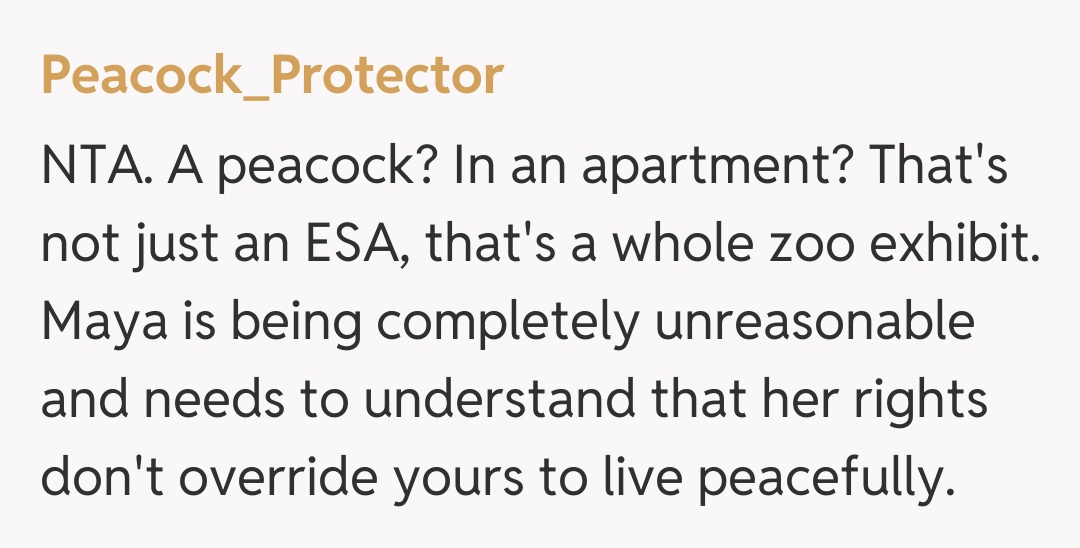 Comentariu de la Peacock_Protector