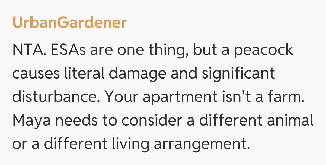 Comentariu de la UrbanGardener