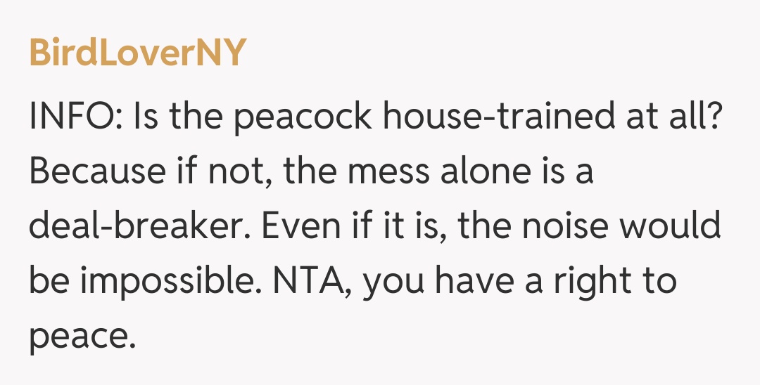 Comentariu de la BirdLoverNY