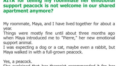 Photo of AITA for telling my roommate her emotional support peacock is not welcome in our shared apartment anymore?