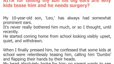 Photo of AITA for telling my son his big ears are why kids tease him and he needs surgery?
