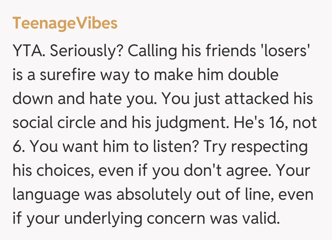 Comentariu de la TeenageVibes