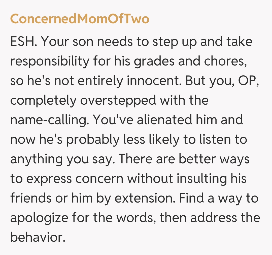 Comentariu de la ConcernedMomOfTwo