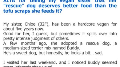 Photo of AITA for telling my vegan sister that her “rescue” dog deserves better food than the tofu scraps she feeds it?