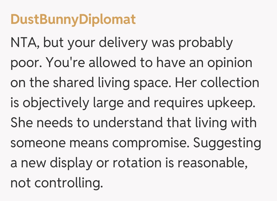 Comentariu de la DustBunnyDiplomat