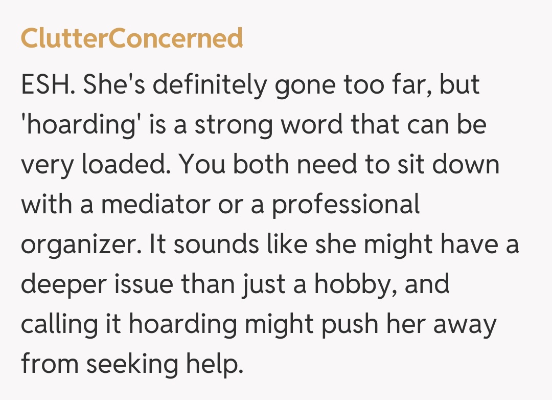 Comentariu de la ClutterConcerned