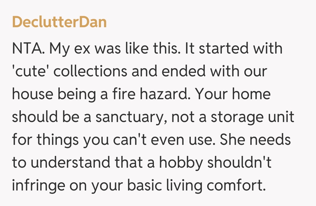 Comentariu de la DeclutterDan