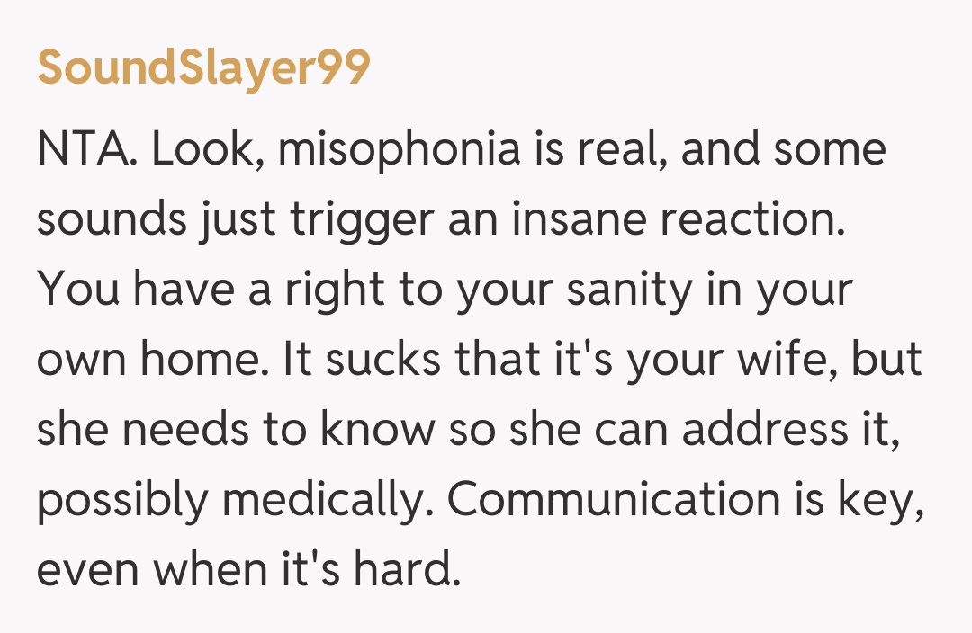 Comentariu de la SoundSlayer99