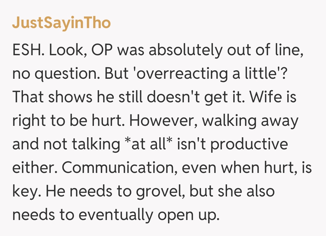 Comentariu de la JustSayinTho