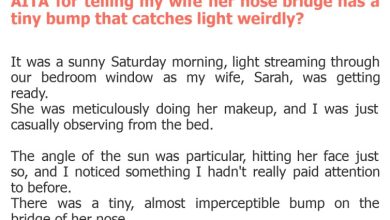 Photo of AITA for telling my wife her nose bridge has a tiny bump that catches light weirdly?