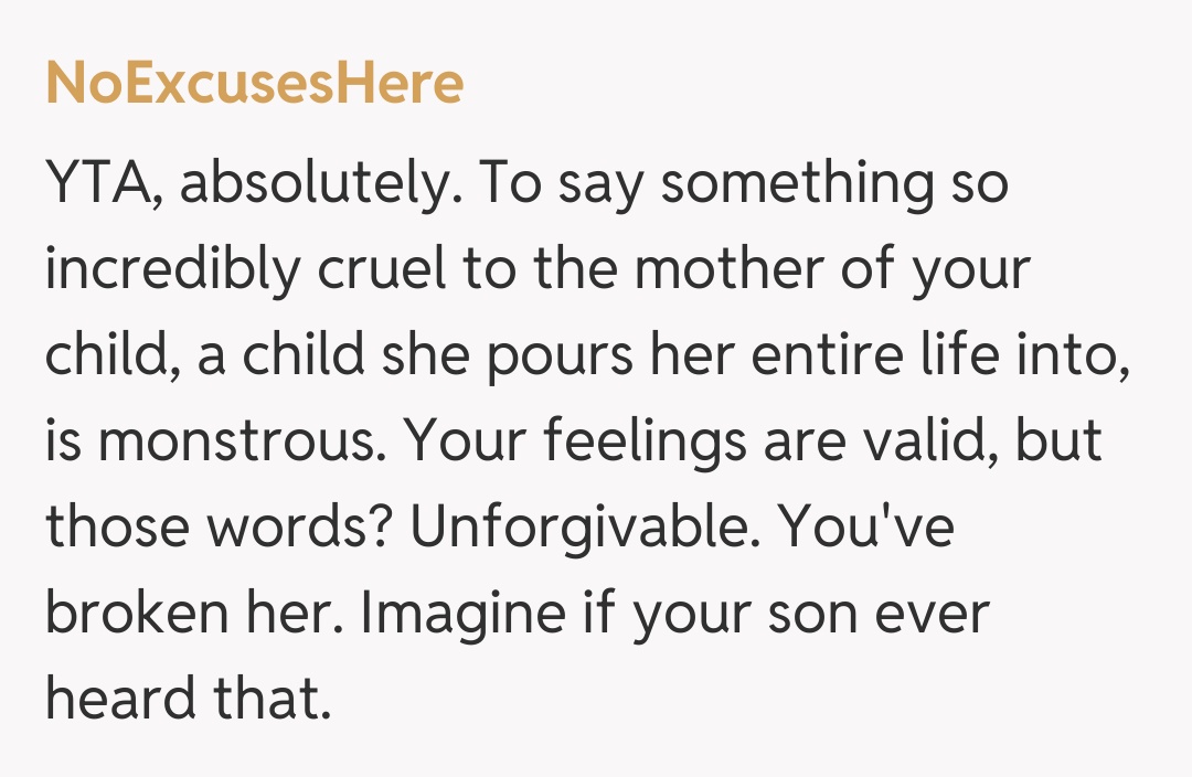 Comentariu de la NoExcusesHere