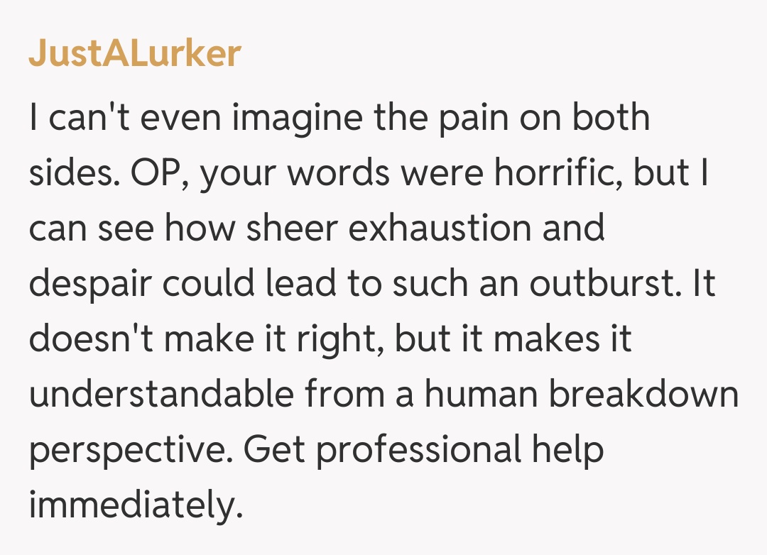 Comentariu de la JustALurker