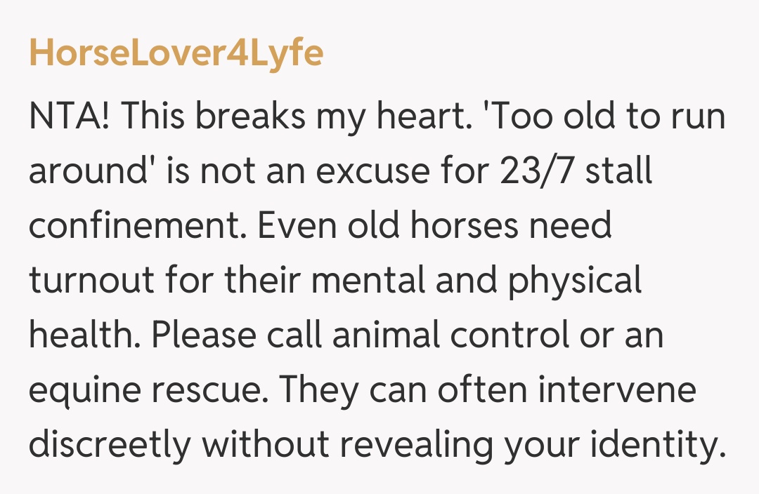 Comentariu de la HorseLover4Lyfe