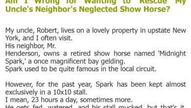Photo of Am I Wrong for Wanting to ‘Rescue’ My Uncle’s Neighbor’s Neglected Show Horse?