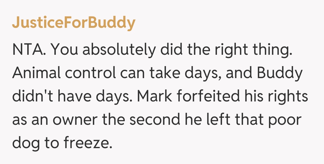 Comentariu de la JusticeForBuddy