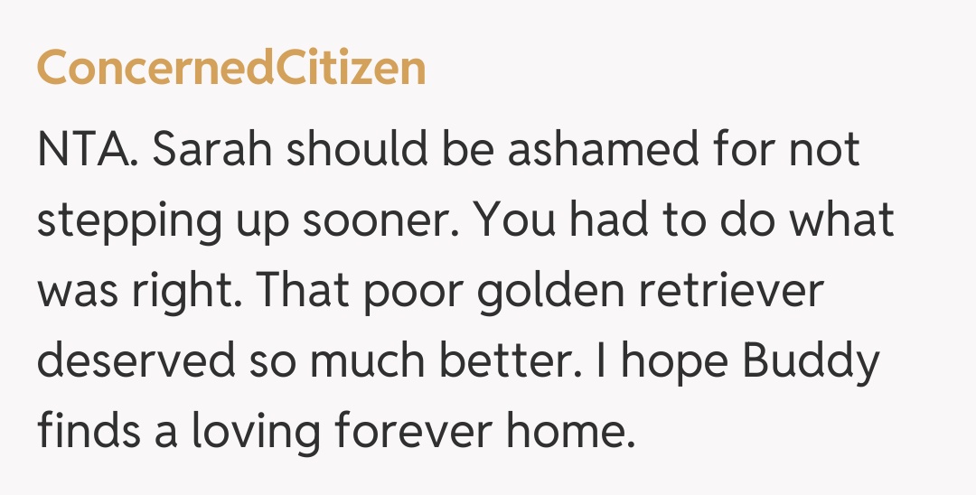 Comentariu de la ConcernedCitizen