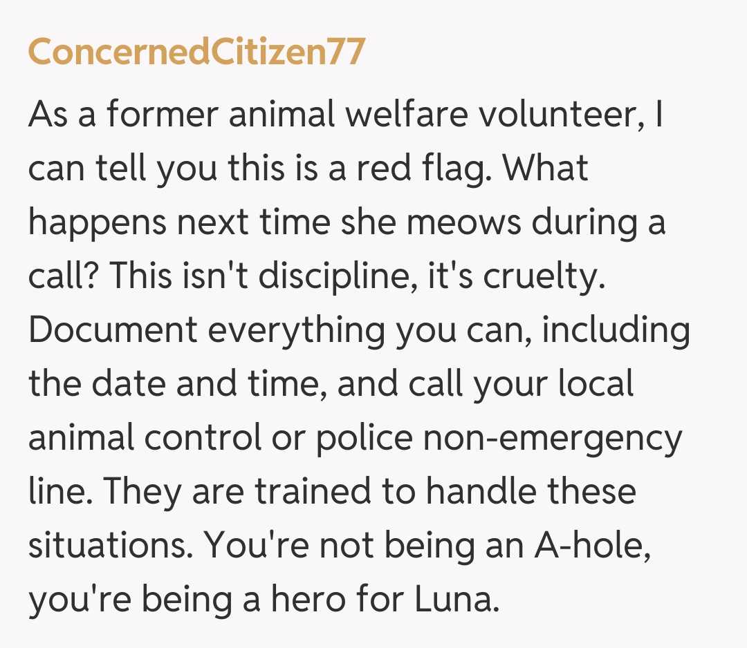 Comentariu de la ConcernedCitizen77