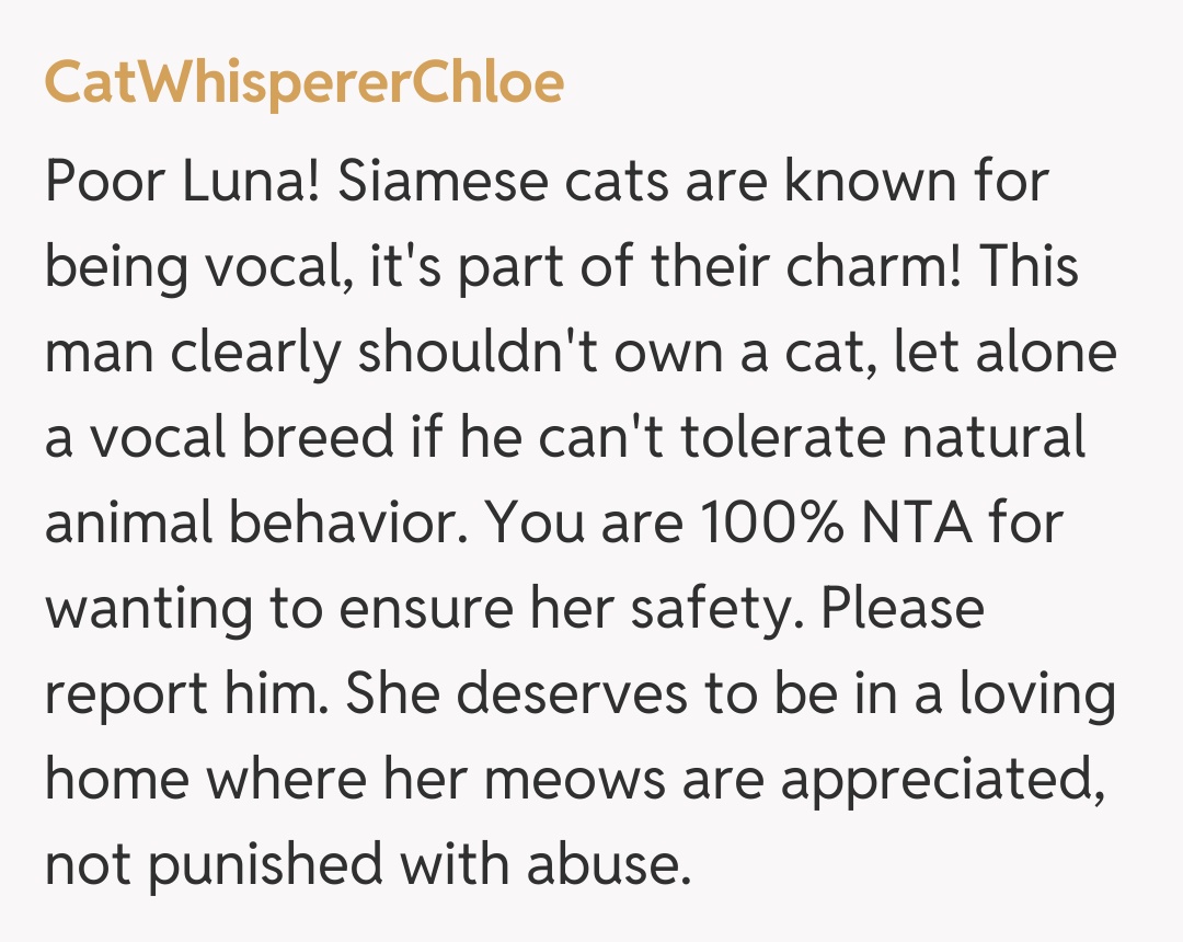Comentariu de la CatWhispererChloe