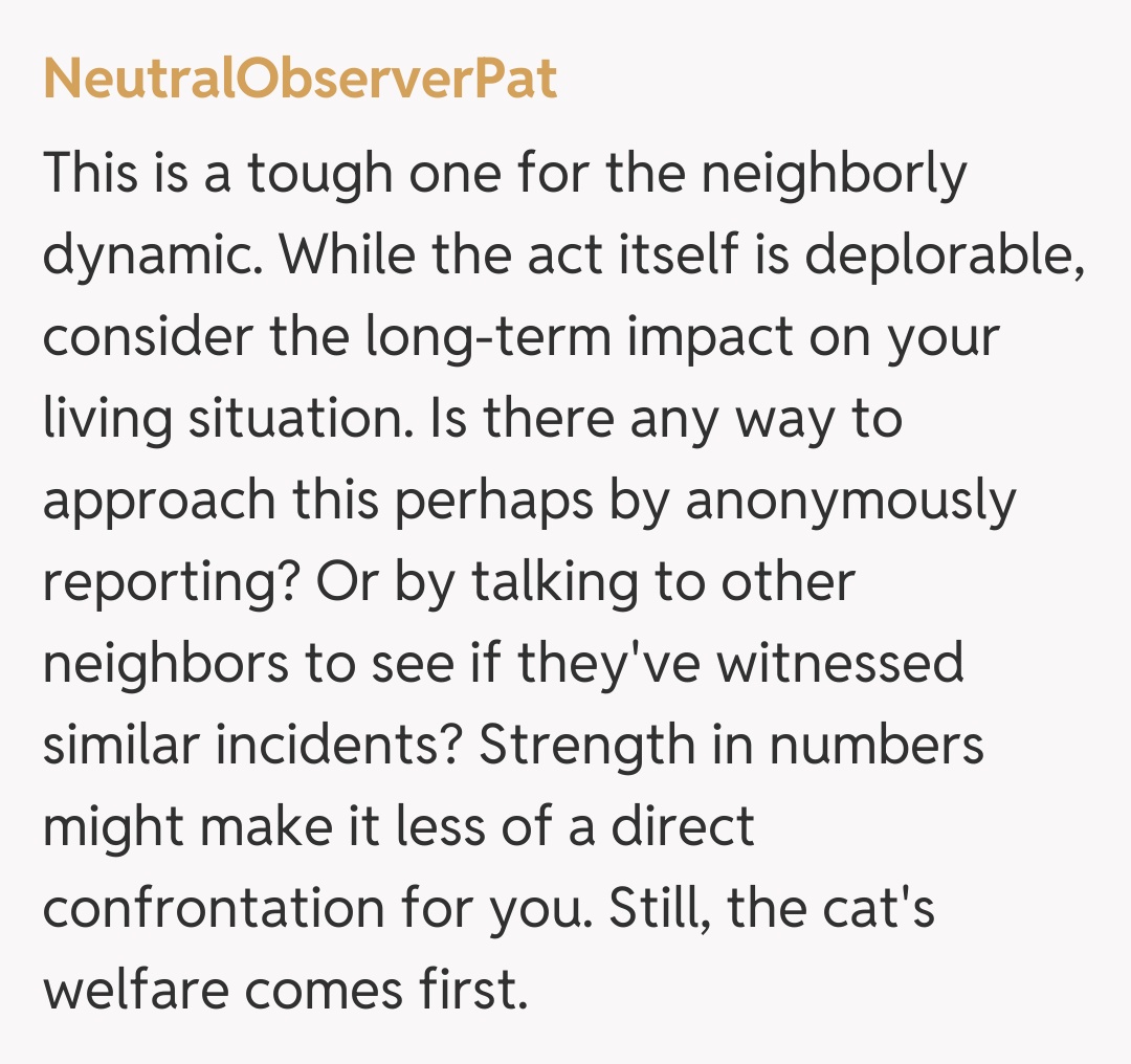 Comentariu de la NeutralObserverPat