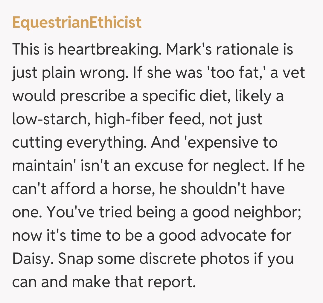 Comentariu de la EquestrianEthicist