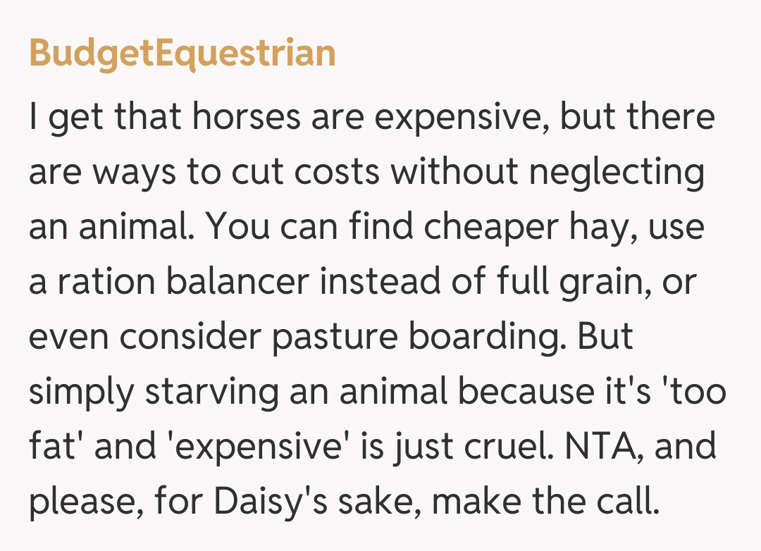 Comentariu de la BudgetEquestrian
