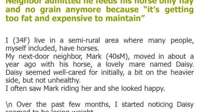 Photo of Neighbor admitted he feeds his horse only hay and no grain anymore because “it’s getting too fat and expensive to maintain”