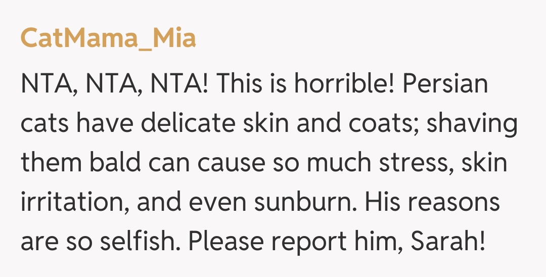 Comentariu de la CatMama_Mia