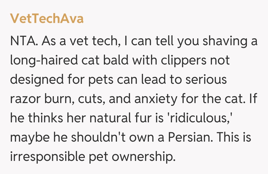 Comentariu de la VetTechAva