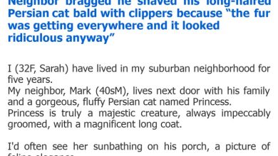 Photo of Neighbor bragged he shaved his long-haired Persian cat bald with clippers because “the fur was getting everywhere and it looked ridiculous anyway”