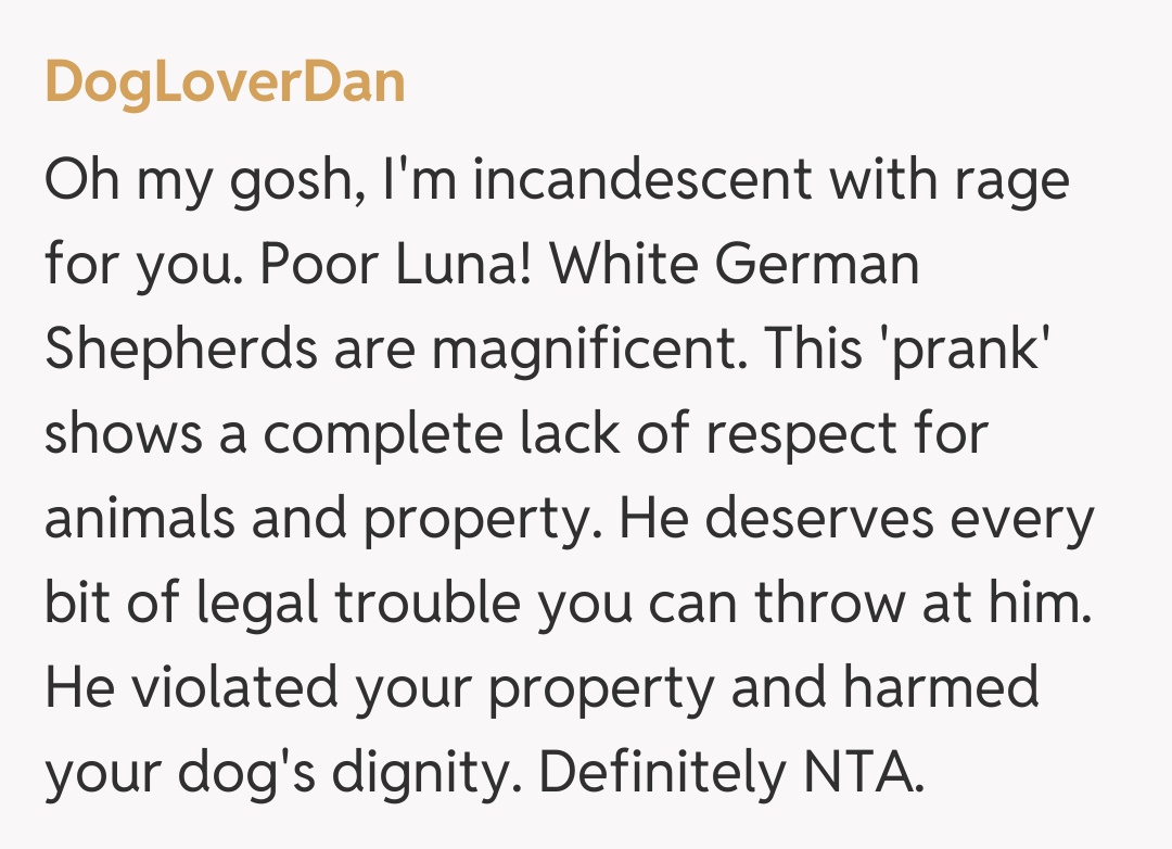 Comentariu de la DogLoverDan