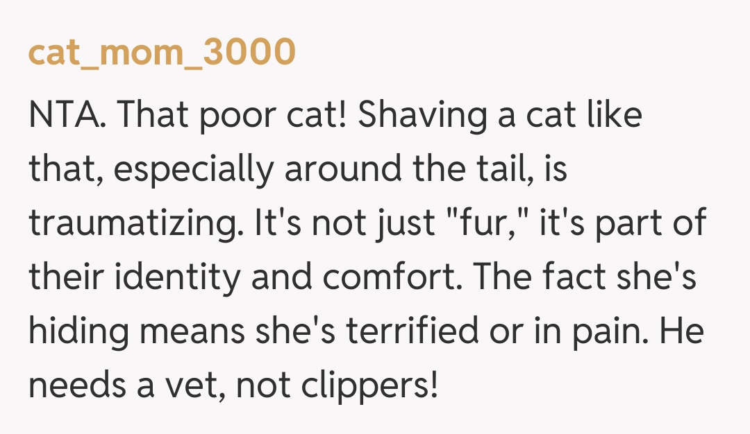 Comentariu de la cat_mom_3000